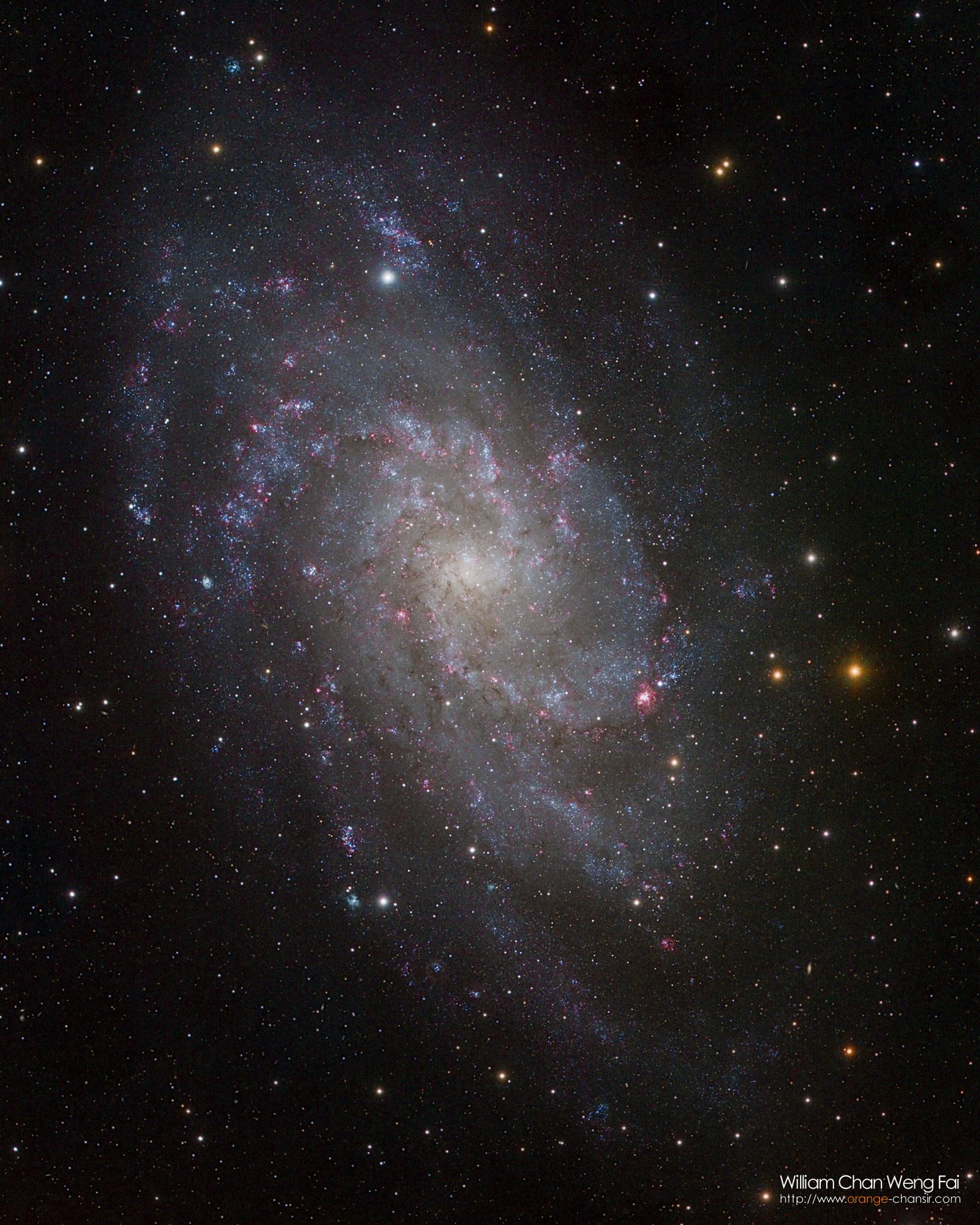 M33 三角座星系，我們身處的本星系群中第三大星系。